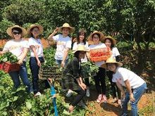 Our China reservations teams organised a visit to Guangzhou Huiling Farm to plant crops and vegetables in the centre’s gardens, and cooked meals for members using locally sourced crops.