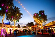 Scottsdazzle