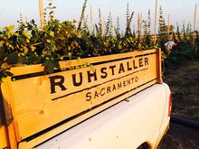 Ruhstaller Hop Yard