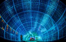 Christmas Lights Norwich The Tunnel of Light #1