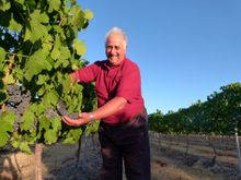 Angelo Puglisi, Ballandean Estate