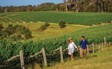 Margaret River Wine Region, Busselton