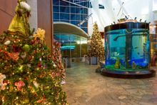 Ripley's Aquarium Festival of Trees