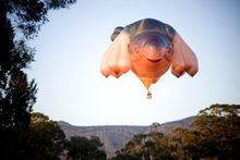 Patricia Piccinini, Skywhale 2013