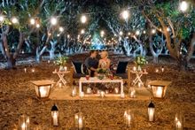 Crazy Acres' mango grove sets the scene for romance.