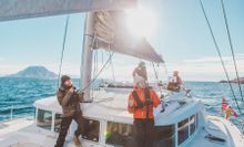 Whale watching and Northern Lights expedition cruise