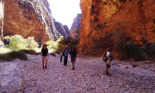 Heli hiking in the Kimberley