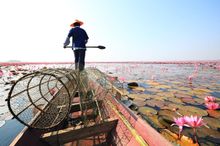 Lotus Sea in Udon Thani, Northeast of Thailand