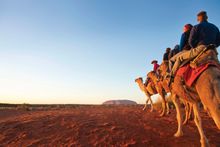 Uluru Camel Tours