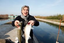 Celebrity cook, Stefano de Pieri