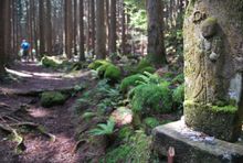 Kumano Kodo pilgrim trail in Japan