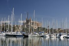 Palma Bay 
