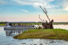 Yellow Water Billabong is a must-do on any Kakadu visit