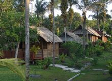 Übernachten im Dschungel. Die Holzhütten des Arrowpont Nature Resorts sind relativ komfortabel 