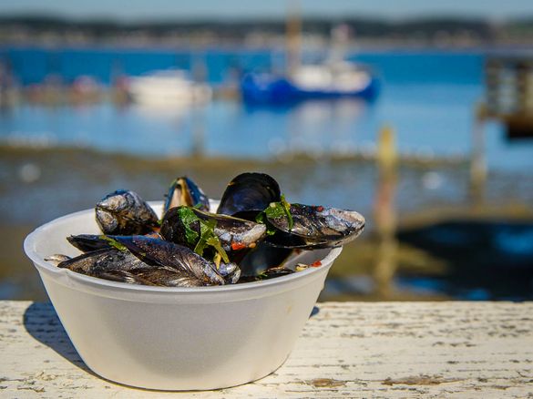 Enjoy Mussels from the Source at MusselFest 