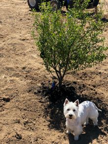Molly Cooper is loving farm life!