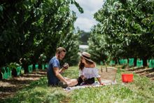 CherryHill picnic amongst the trees