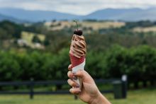 CherryHill freshly turned ice cream