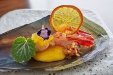 NOBU InterContinental Hong Kong - Mutsuki Great Cold Omakase - ABURI TAIRAGAI & AKA EBI SASHIMI   ORANGE JELLY, KINKAN DRESSING - h