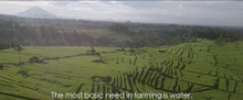 By focusing on Bali's plight, this documentary presents us with the current state of affairs regarding water in our modern world and what we can do to turn the potentially disastrous situation into a prosperous one.
