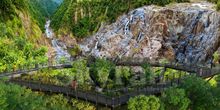 The spectacular Barron Falls can be seen from The Edge Lookout, a glass-bottom platform at Skyrail Rainforest Cableway.