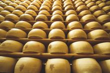 A Parmigiano-Reggiano storeroom at an artisanal producer 
