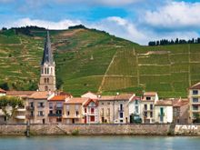 Beautiful French vineyards