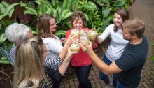 Enjoy a cocktail of tropical proportions (and ingredients) at the Olbrich Gardens Essential Madison Experience. 