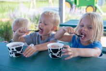 Hard to scream for ice cream when you're enjoying it this much at the Sassy Cow Essential Madison Experience. 
