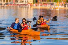 Explore Madison's lakes by kayak with this Wisconsin Union Essential Madison Experience. 
