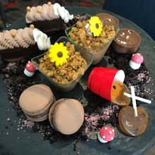 Radisson Blu Plaza Hotel Sydney - Chocolate High Tea