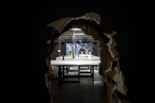 Mona Summer Exhibitions