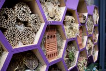 St Ermin's Bee & Bee