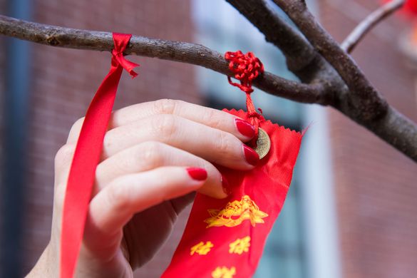 Madison Avenue Wishing Tree