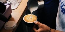 Swims coffee, Scamander