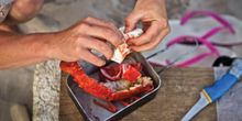 Fresh Crayfish from the East Coast of Tasmania