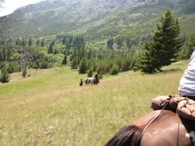 Adventure in the Rockies, horseback riding, Montana pack trip 