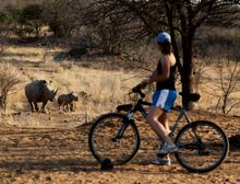 The Ant Collection, South Africa, Detox Safari, cycling safari