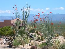 Stagecoach Trails Guest Ranch, Arizona, ranch exterior
