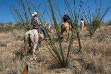 Rancho de la Osa, Arizona, guided horseback riding