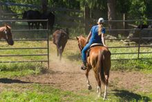 Western Pleasure Guest Ranch, Idaho, teen team penning