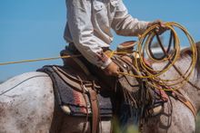 Ranchlands Camp, Colorado, located on Chico Basin Working Ranch, 