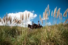 Estancia los Potreros, Cordoba, Argentina, guided horse riding
