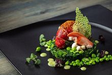 The Venetian Macao – The Golden Peacock French Britney blue lobster, coconut cream, smoked green vegetable, cilantro