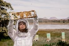 Saffire Freycinet Beekeeping Experience