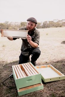Saffire Freycinet Beekeeping Experience