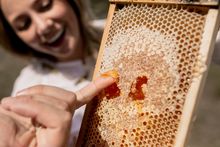 Saffire Freycinet Beekeeping Experience