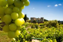 Pazos and Gardens of Galicia