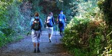 pilgrims walking the Camino