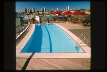 Roof top pool overlooking Rushcutters Park